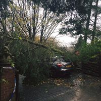 Tree Cutting Cheadle