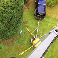 Removing Hazardous Trees Manchester