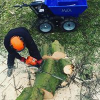 Commercial Tree Surgeon Cheshire