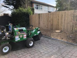 Stump removal Stockport