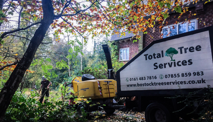 Tree Surgeon Stockport Cheshire