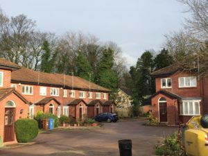 Tree surgery Wilmslow