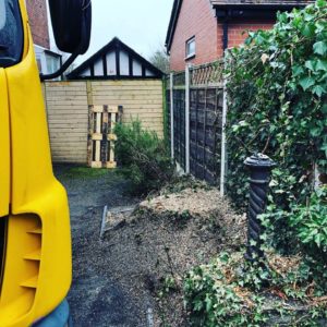 Stockport Tree Surgeons