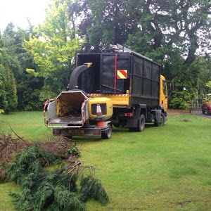 Tree Removal Alderley Edge