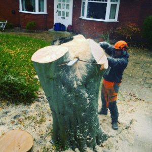 Tree Surgeon Hazel Grove