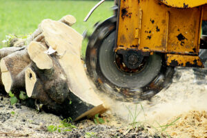 Stump grinding Macclesfield