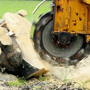 Stump Grinding